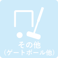 その他（ゲートボール他）