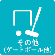 その他（ゲートボール他）