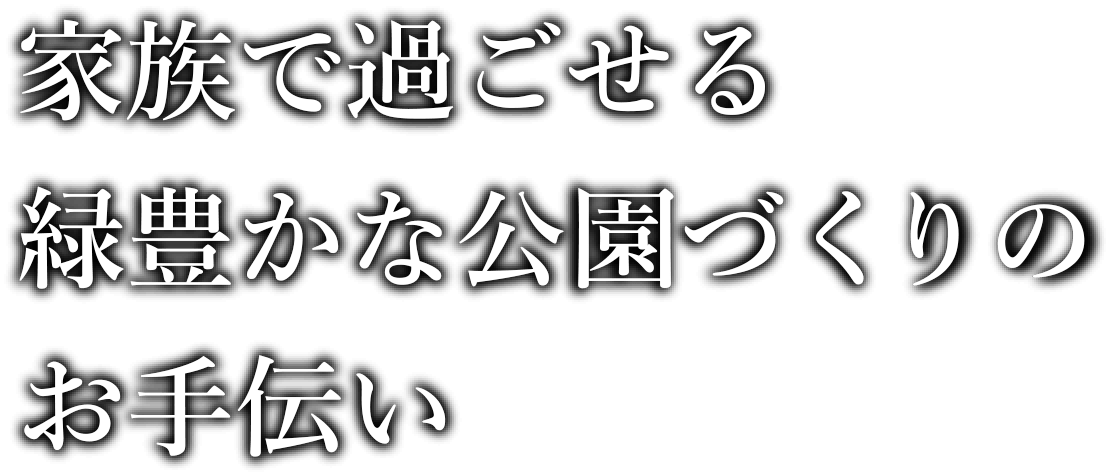 日向坂46 3周年記念 LIVE～3回目のひな誕祭～DVD 完全生産限定盤