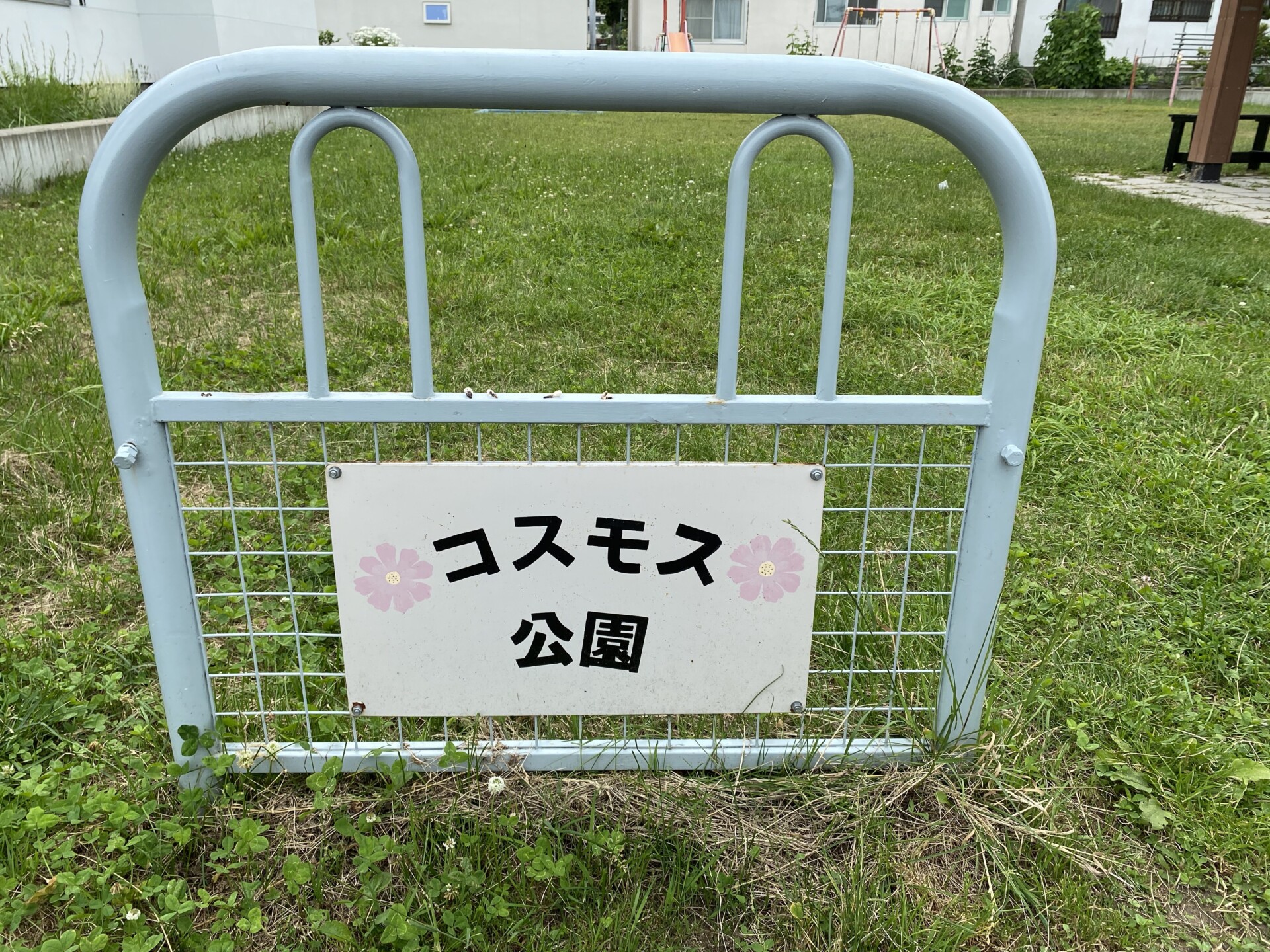 豊岡コスモス公園
