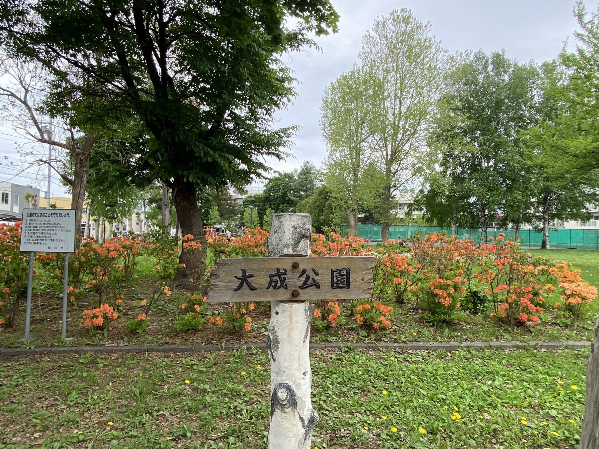 大成公園