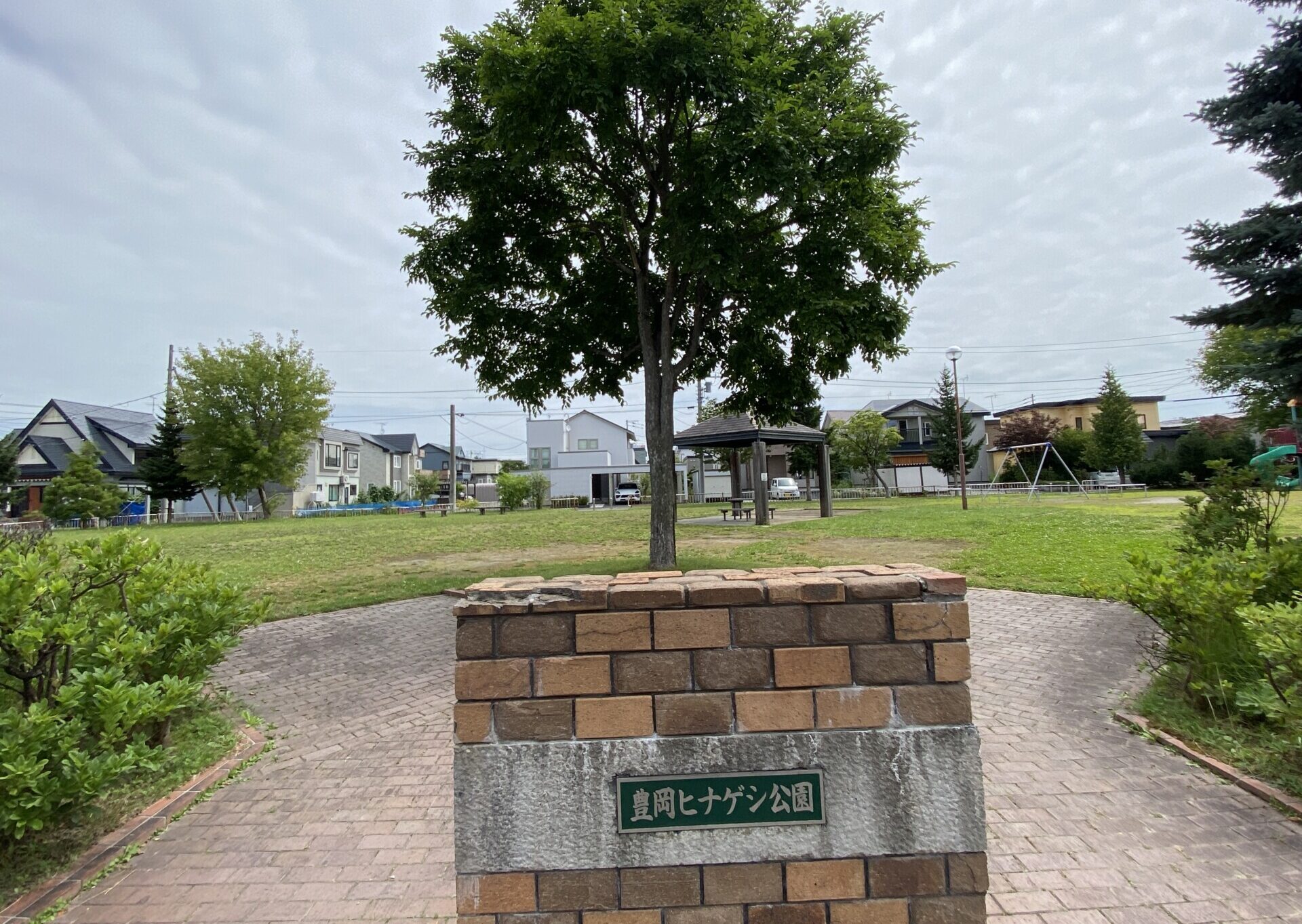豊岡ヒナゲシ公園