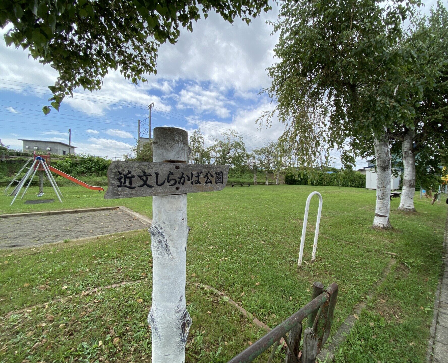 近文しらかば公園
