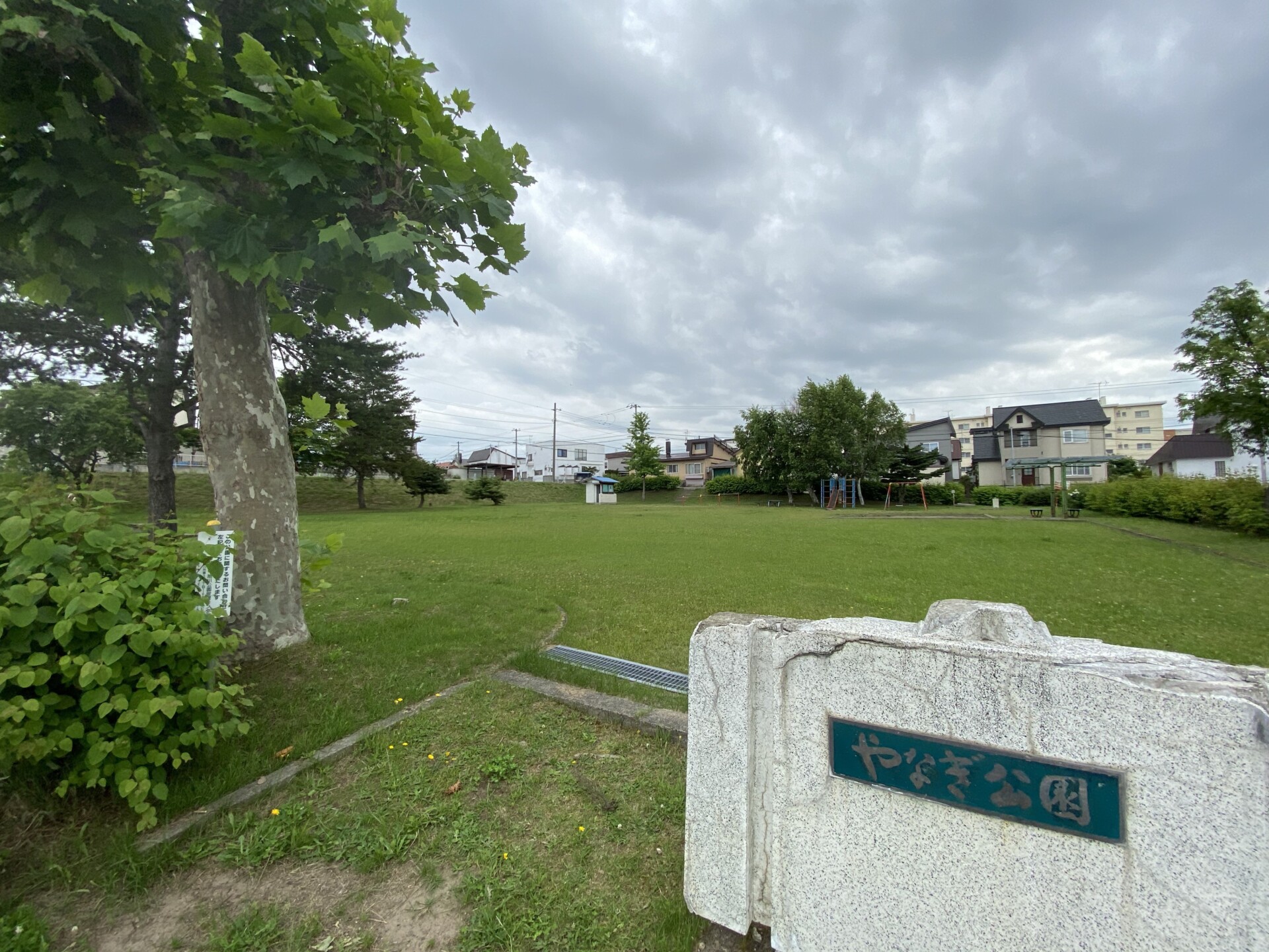 やなぎ公園