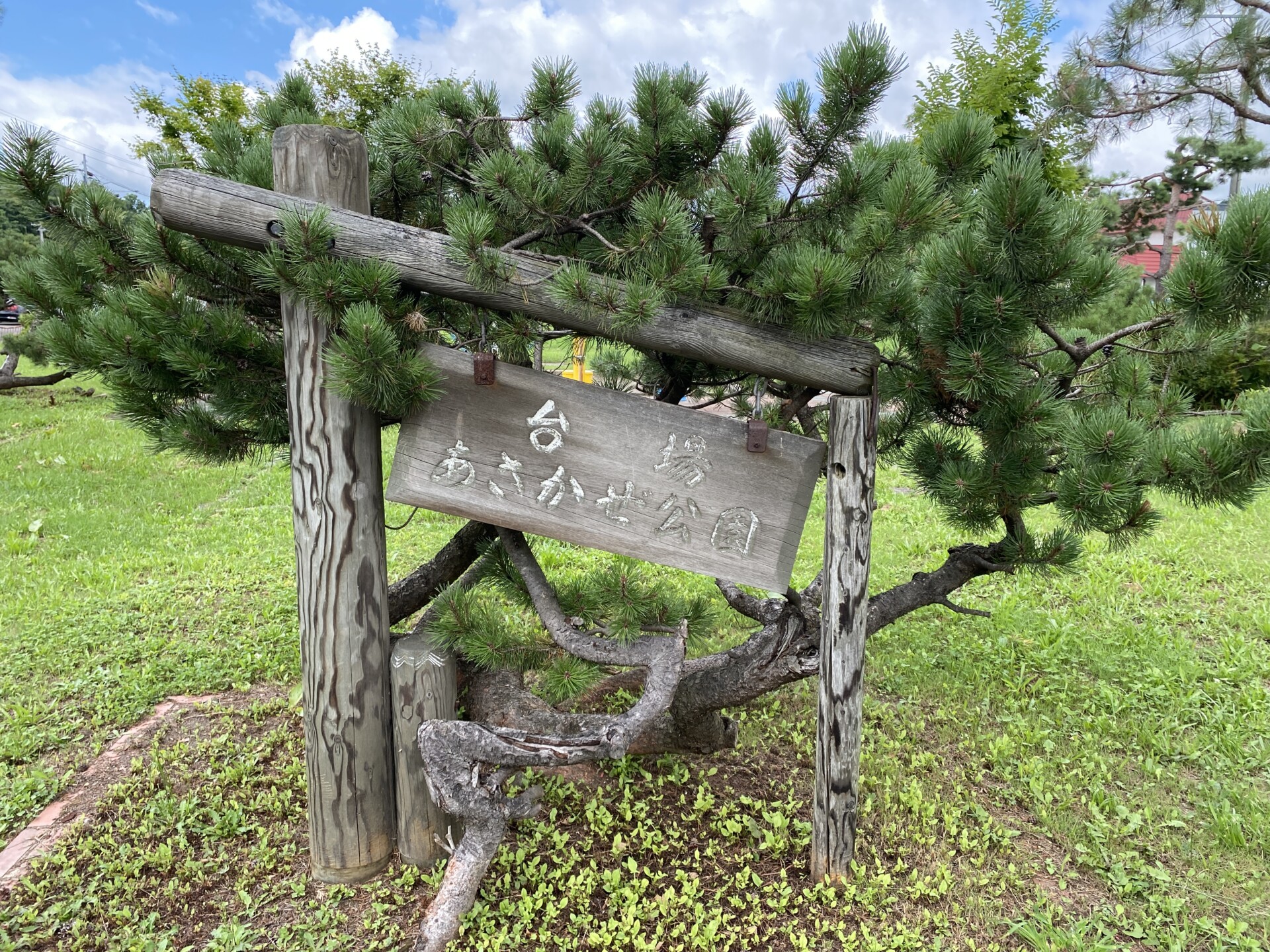 台場あさかぜ公園